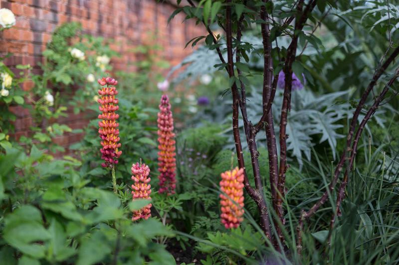 JHGDsut 2205 KidBRK 3122 web