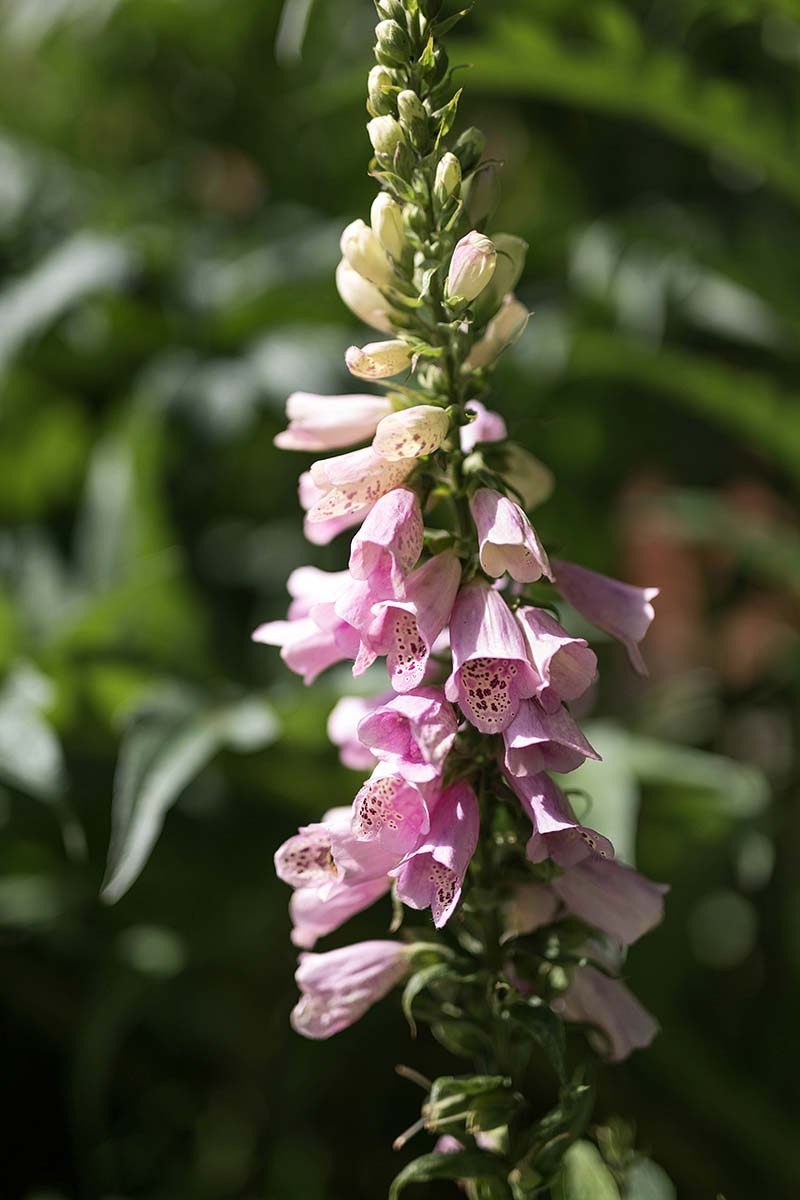 JHGDsut 2205 KidBRK 3213 web