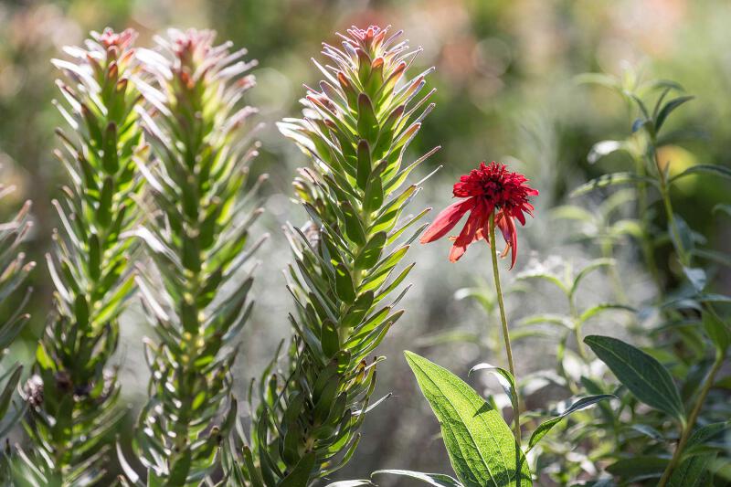 JHGDsut 220728 Kidbrooke back 2079 web