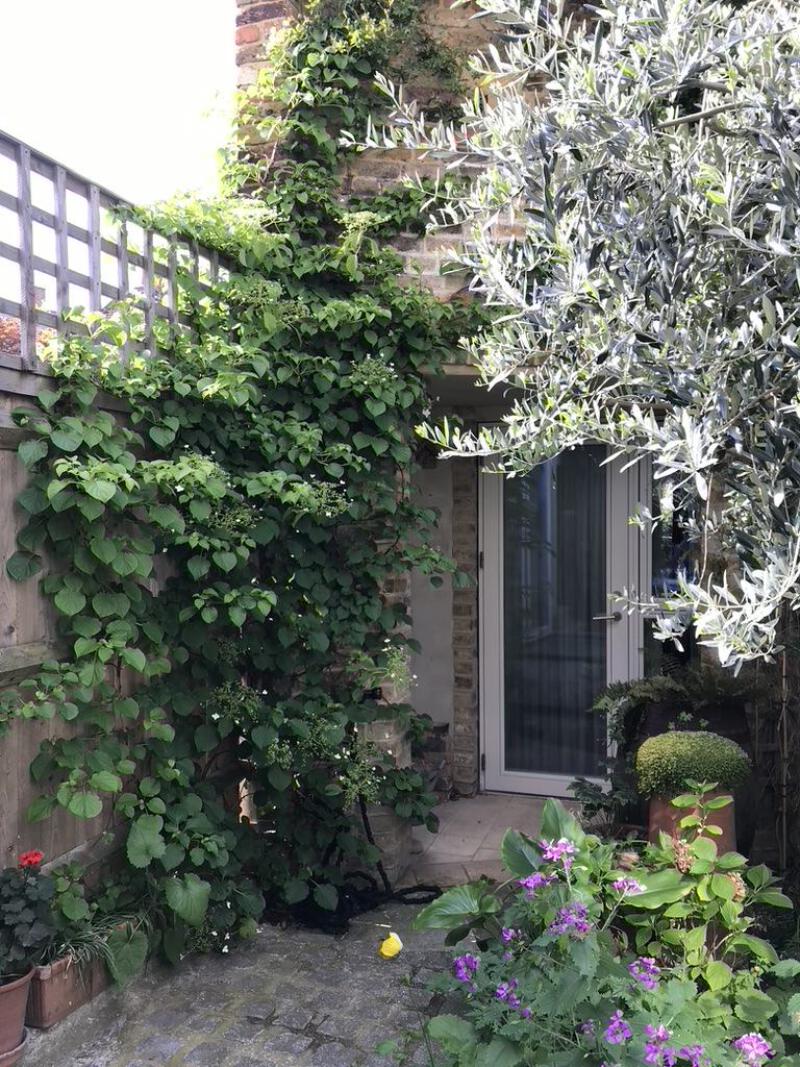 3788BBEB 88DE 4592 920C EE67D6E26E6A 1 105 c