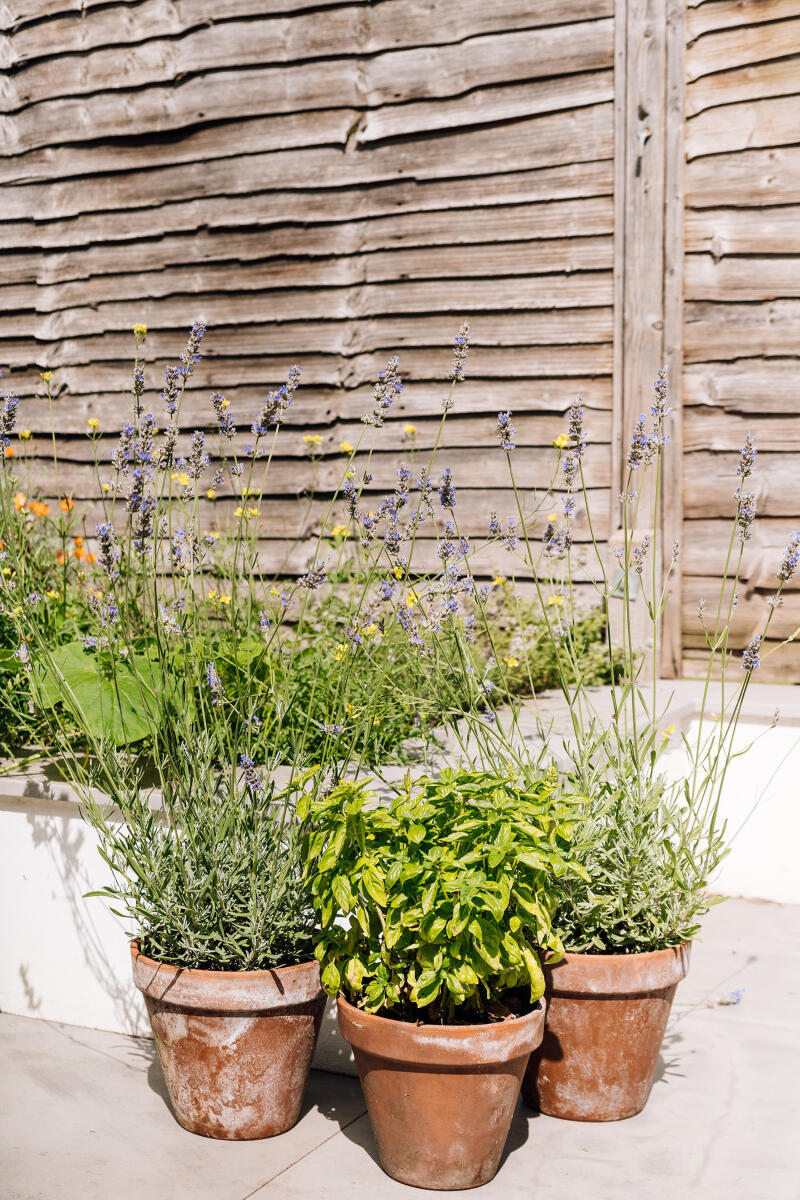 GTA   Kirkwood Road 25